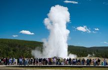 From Bozeman Yellowstone Full Day Tour Lower Loop