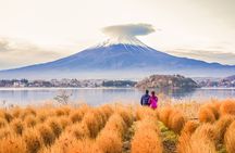 Mt. Fuji Highlight Photo Spots One Day Tour from Tokyo