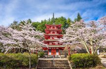 Mt Fuji, Parks, Scenic Spots Sightseeing Day Trip from Tokyo