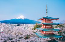 Mt. Fuji Signature 6 Scenic Spots One Day Tour from Tokyo