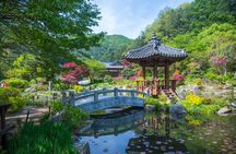Trip to Nami Island with Petite France & Italian Village, Garden of Morning Calm