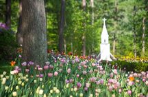Seoul Vicinity 5 in 1: Nami Island, Garden of Morning Calm & More