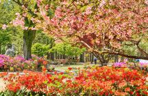 Day Trip to Nami Island with Rail bike and The Garden of Morning Calm