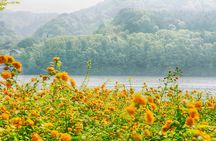 Alpaca World Tour with Nami Island & opt Railbike or Garden
