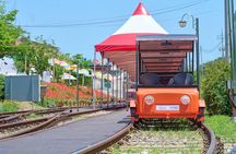 Day Trip to Nami Island with Rail bike and The Garden of Morning Calm