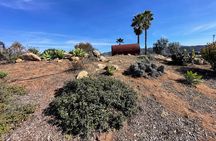  San Diego County Wine Tour (Private)