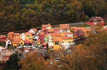 Nami Island Trip with Petite France & Italian Village and Gangchon Rail Bike