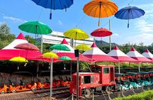 Seoul Vicinity 5 in 1: Nami Island, Garden of Morning Calm & More