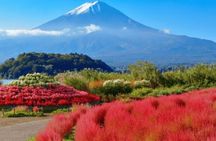 Private Luxury vellfire Tour Experience To Fuji And Hakone