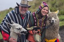 Full-Day Authentic Local Market Teleférico Quito Historic Center 