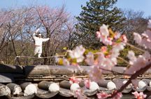 Korean Folk Village and Suwon Hwaseong Fortress Day Tour(EG Tour)