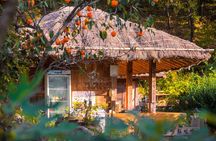 Gyeongju UNESCO World Heritage Guided Day Tour from Busan