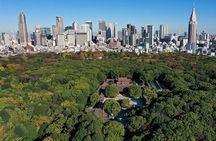 Tokyo: Meiji Shrine Historical Tour with Local Guide