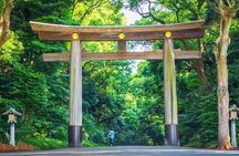 Tokyo: Meiji Shrine Walking Tour — Shintoism & Imperial System