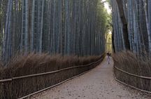 Zen Run in Arashiyama