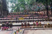 Old Bangalore: Cultural & Food Walk 