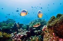 Koh Rok and Koh Haa Snorkeling Tour with Beachside Lunch