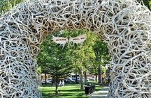 4 Days Yellowstone and Grand Teton Adventure from Salt Lake City