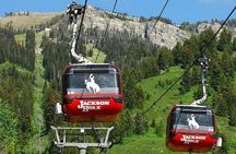4 Days Yellowstone and Grand Teton Adventure from Salt Lake City
