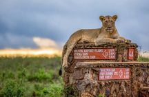 Nairobi National Park half-Day Tour; Free wifi Connection