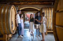 Provence Wine Tour - Small Group Tour from Cannes