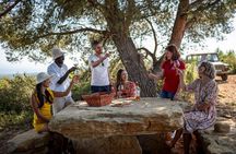 Provence Wine Tour - Small Group Tour from Cannes