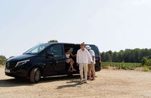 Provence Wine Tour - Small Group Tour from Cannes