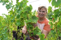 Dare the wine with a feminin touch