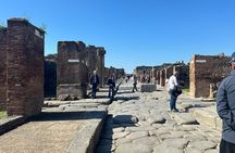 Pompeii Guided Tour from Positano with an Archaeologist