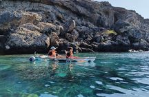 Fuerteventura Transparent Electric Kayaks with Guide