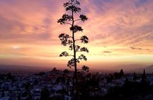 Granada: "Street Art & The Caves" Exceptional Guided Walking Tour