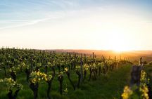 Bourgueil Gourmet ride with a Chef