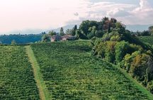 Natural Wine Tasting in the heart of the Prosecco Hills