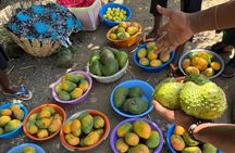 Addis Ababa City Tour