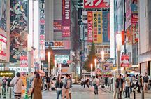 Akihabara: Anime & Gaming Guided Walking Tour