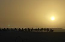 Agafay Desert Sunset, Camel Ride and Dinner from Marrakech