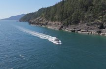 Vancouver Wildlife Seals Scenic Nature Boat Tour