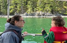 Vancouver UNESCO Biosphere Reserve Wildlife Scenic Boat Tour