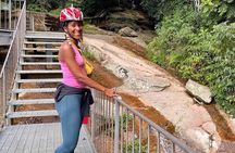Rio Rainforest Ride An Unforgettable Mountain Bike Tour