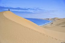 Sandwich Harbour 4x4 Adventure: Where Namib Desert Meets Atlantic