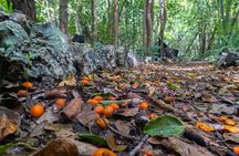 Eco Tour in the Cenotes Indigenous Eyes in Punta Cana