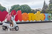 Tour of Mendoza with Winery and Olive Lunch