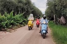 Tour of Mendoza with Winery and Olive Lunch