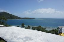 4x4 Tour - Craft and Agritourism Culture in Raiatea