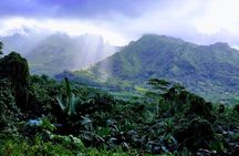 4x4 Tour - Craft and Agritourism Culture in Raiatea