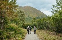 Valleys and Hops: A Hike and Brew Trip in Palmer