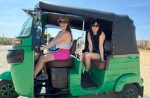Colombo Highlights of City Tour by Tuk-Tuk - All Included