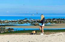 Melbourne Great Ocean Road Full Day Tour