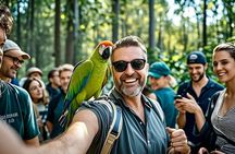 Melbourne Great Ocean Road Full Day Tour