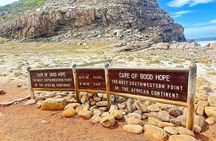 Half Day Penguins and Cape Point Small Group Tour